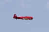 6280066.jpg (177793 bytes)